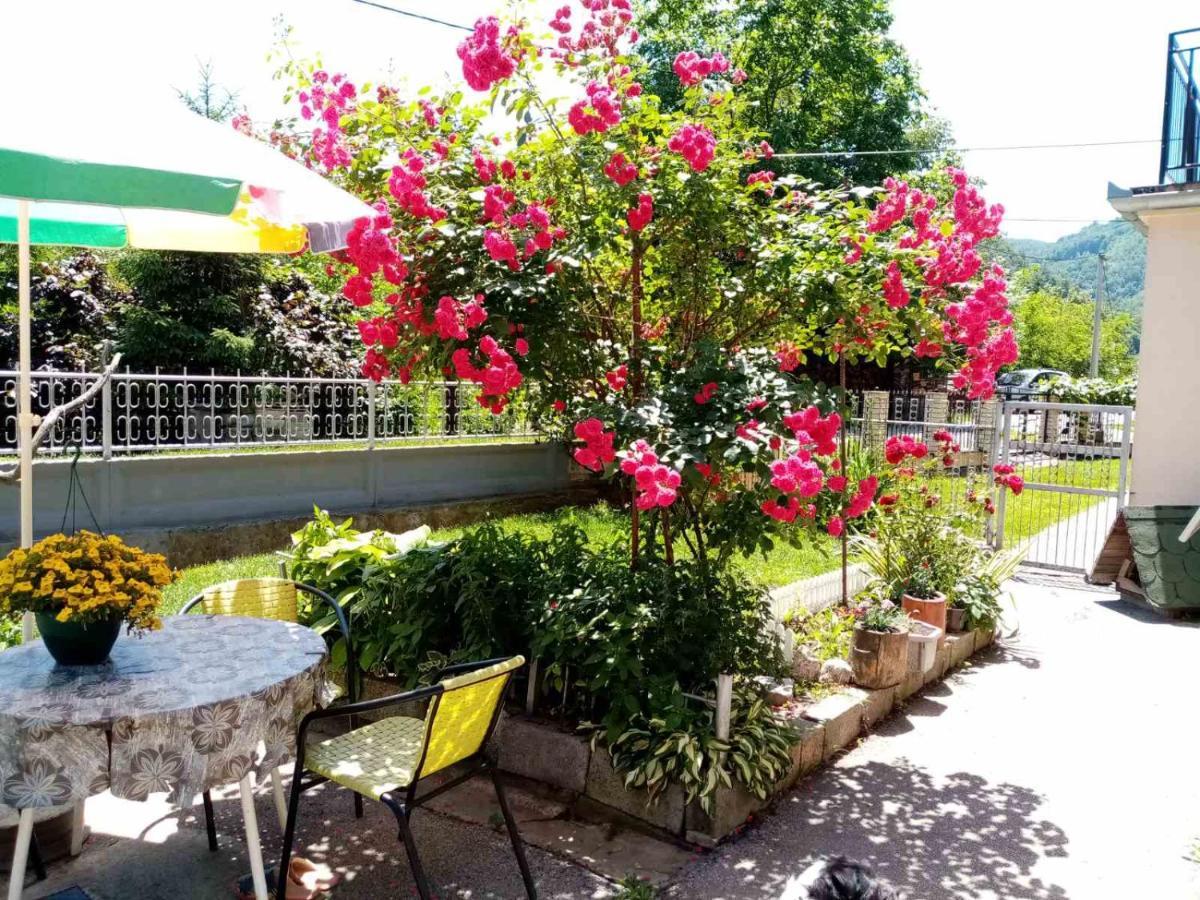 Apartman Vesna Ovcar Banja Esterno foto