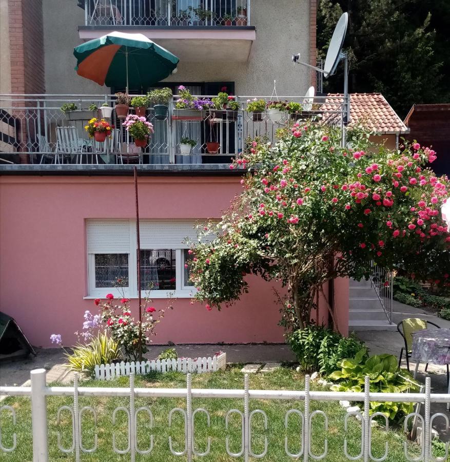 Apartman Vesna Ovcar Banja Esterno foto