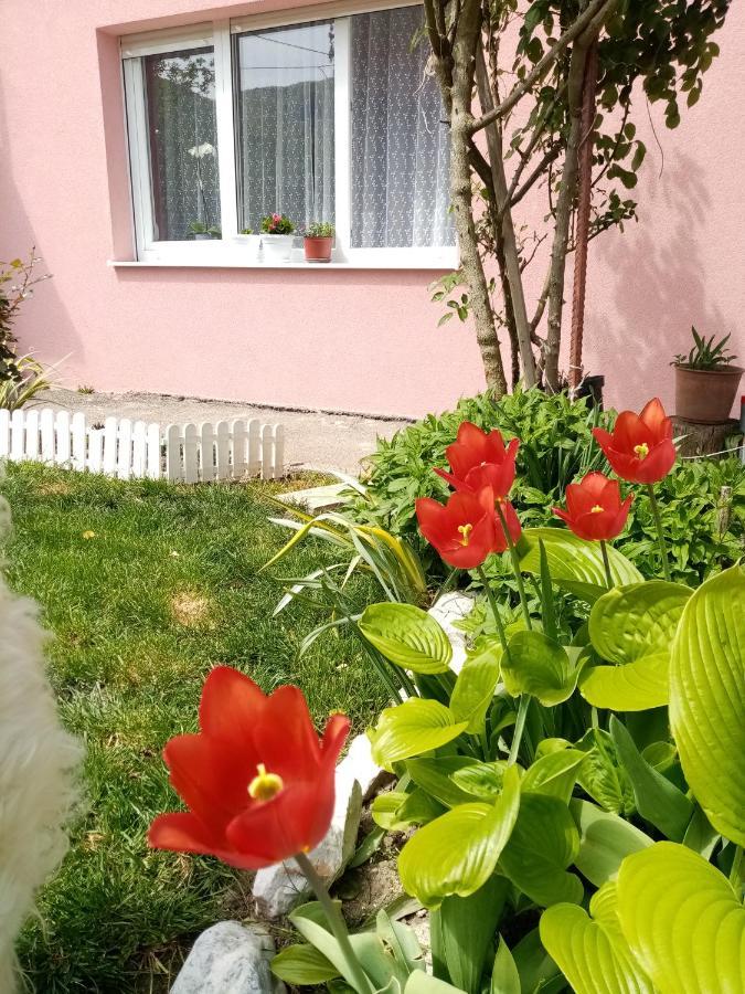 Apartman Vesna Ovcar Banja Esterno foto