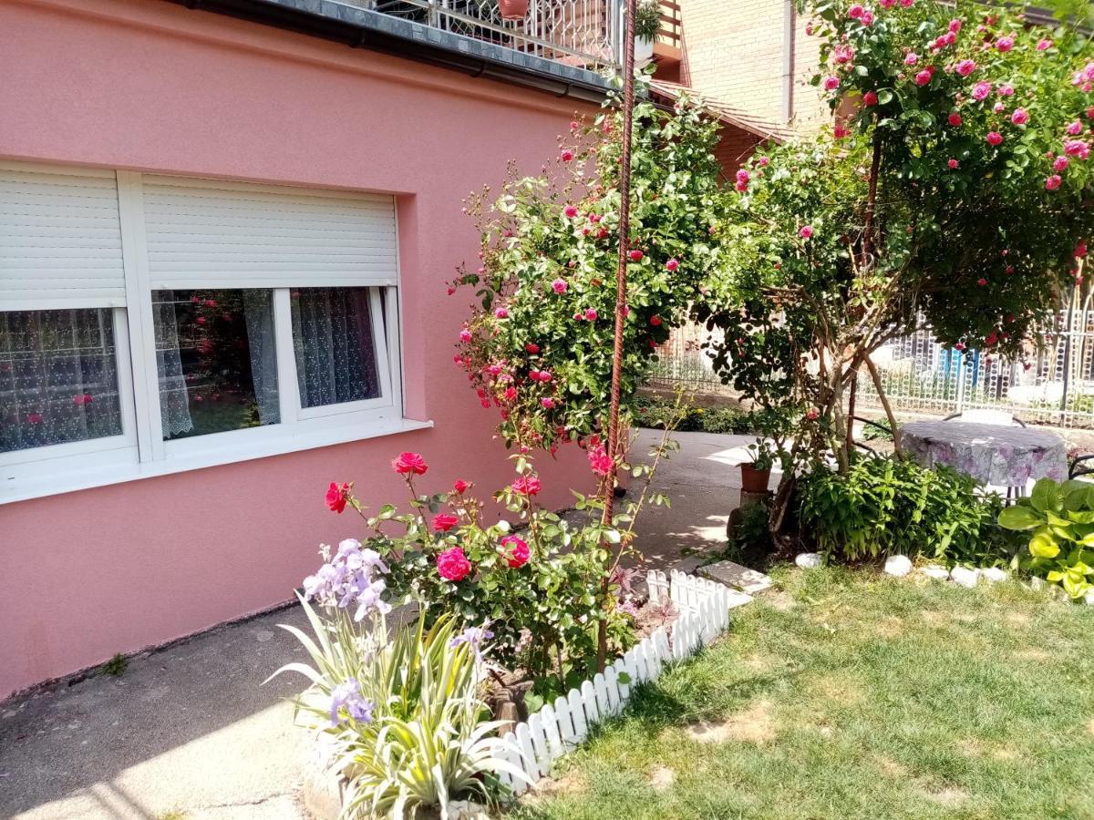 Apartman Vesna Ovcar Banja Esterno foto